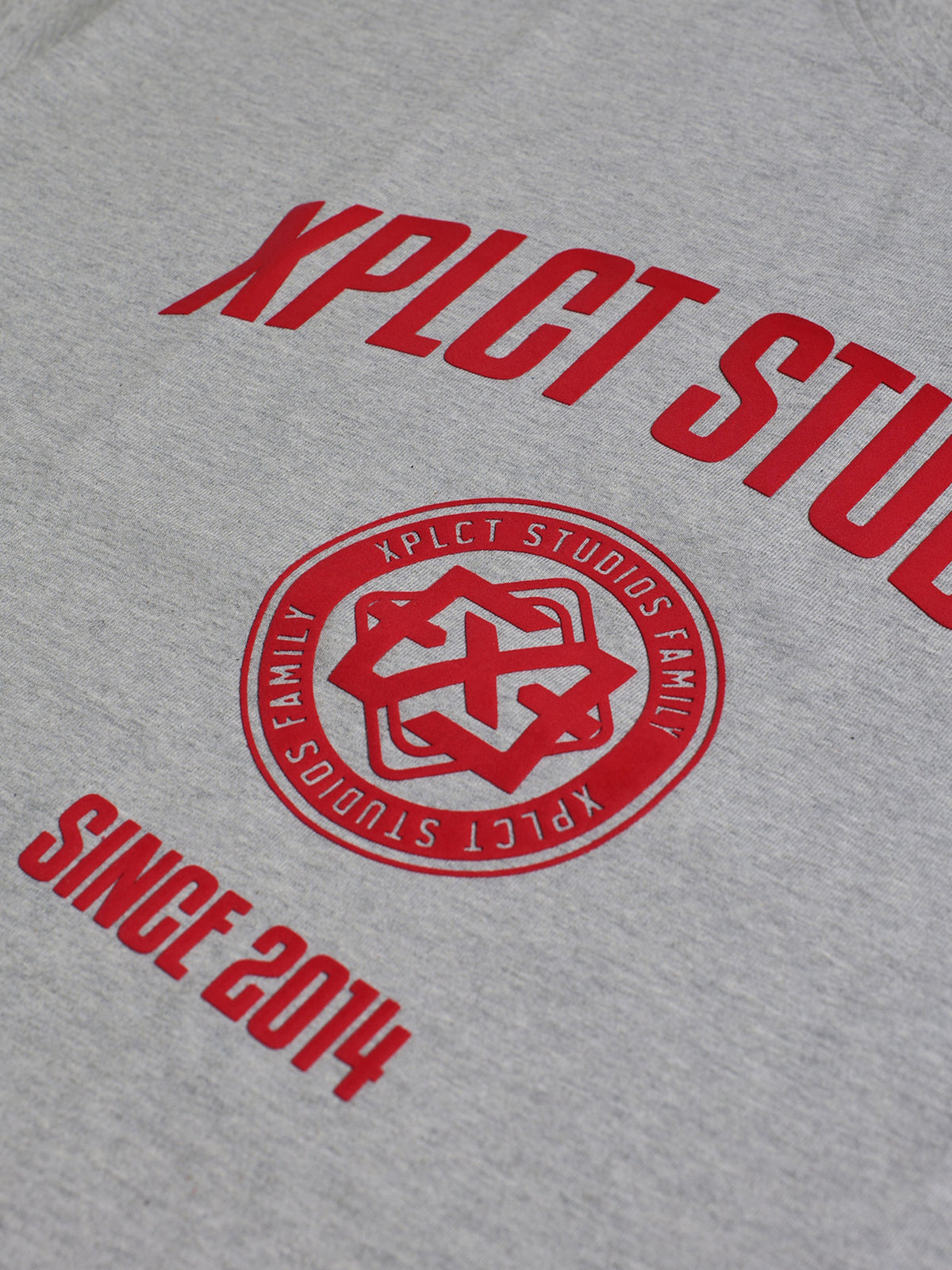 Family Longsleeve | Grey